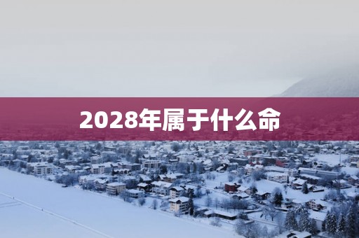 2028年属于什么命