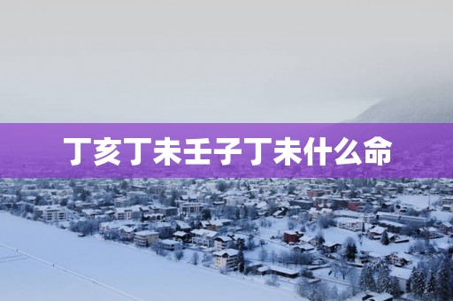 丁亥丁未壬子丁未什么命