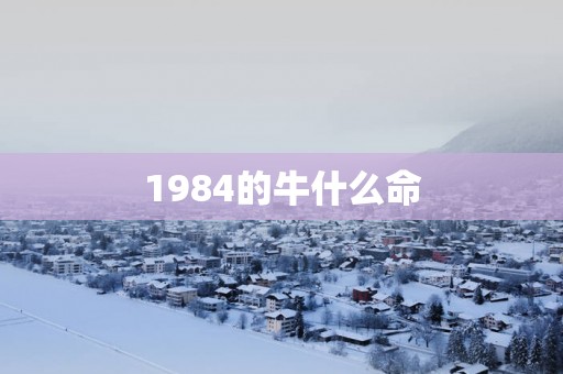 1984的牛什么命