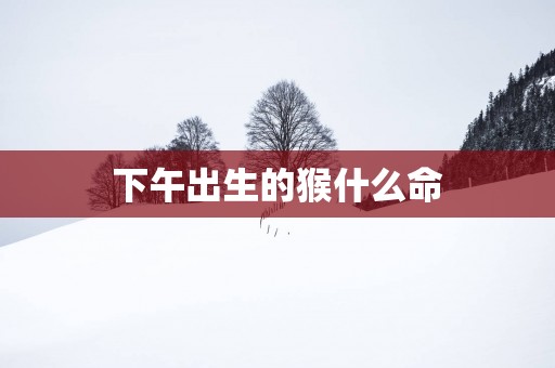 下午出生的猴什么命