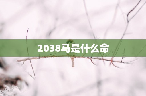 2038马是什么命