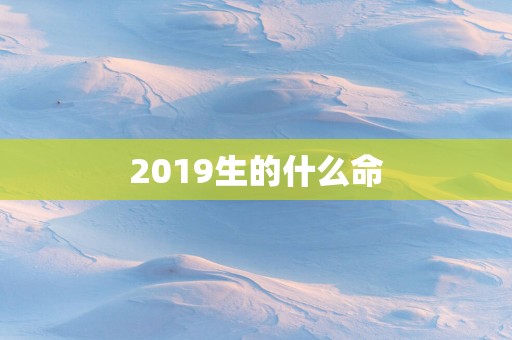 2019生的什么命