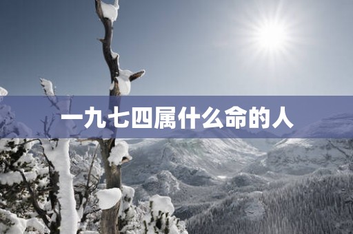 一九七四属什么命的人