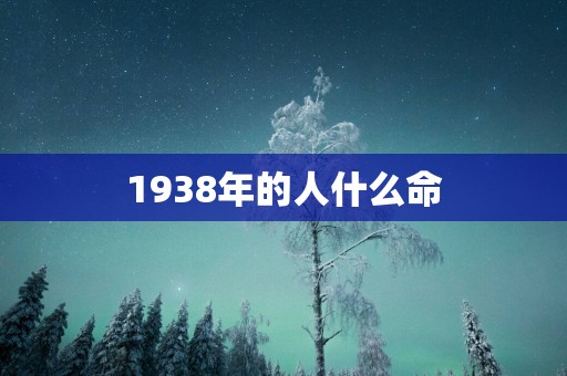 1938年的人什么命