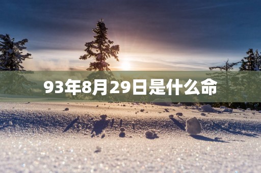 93年8月29日是什么命