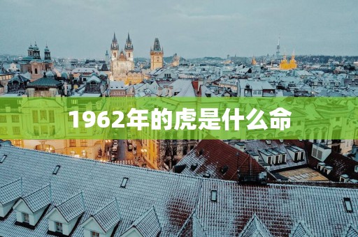 1962年的虎是什么命