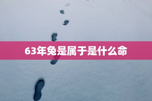 63年兔是属于是什么命