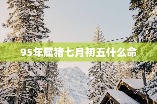 95年属猪七月初五什么命