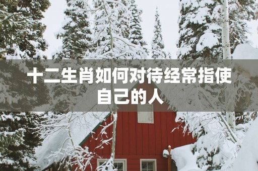 十二生肖如何对待经常指使自己的人