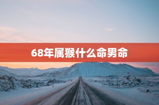 68年属猴什么命男命