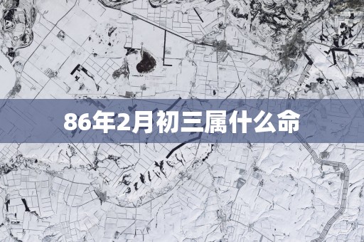 86年2月初三属什么命