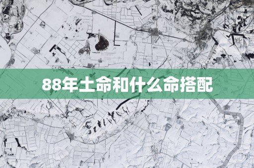 88年土命和什么命搭配