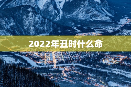 2025年丑时什么命