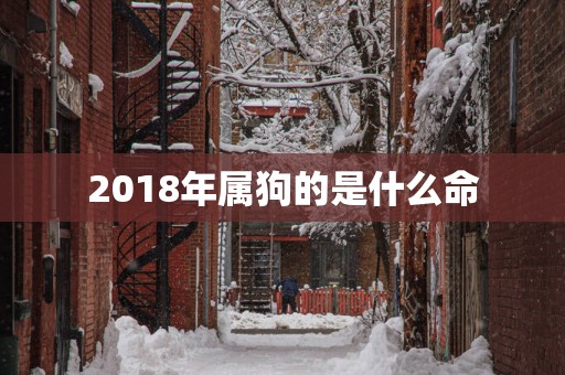 2018年属狗的是什么命