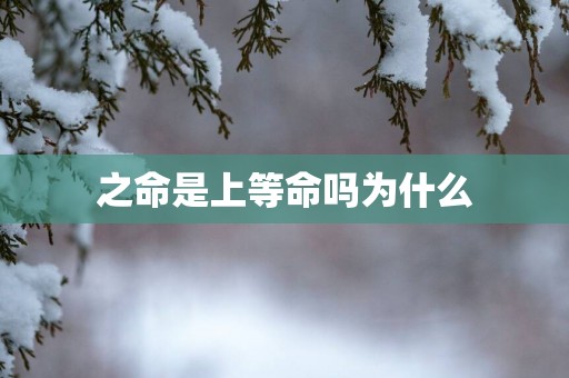 之命是上等命吗为什么
