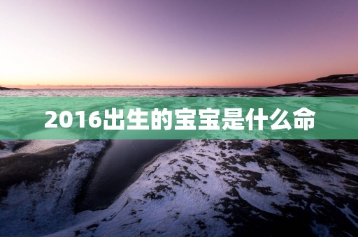 2016出生的宝宝是什么命