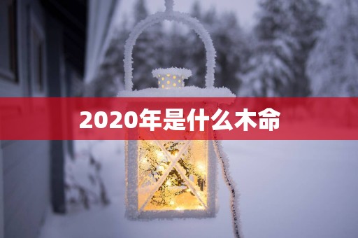 2025年是什么木命