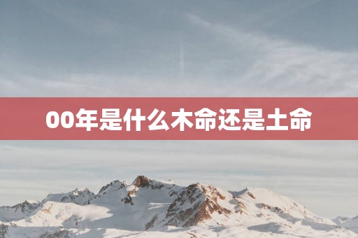 00年是什么木命还是土命