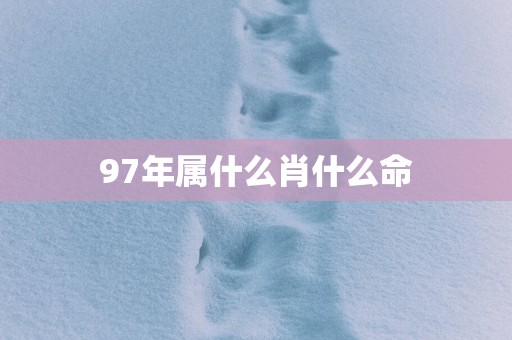 97年属什么肖什么命