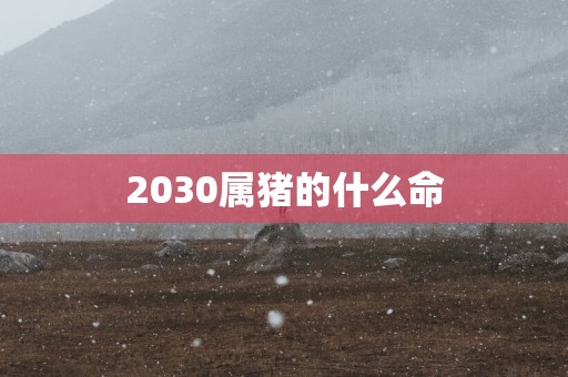 2030属猪的什么命