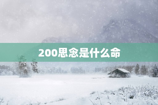 200思念是什么命