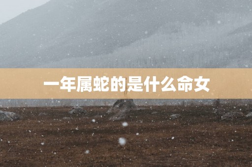 一年属蛇的是什么命女