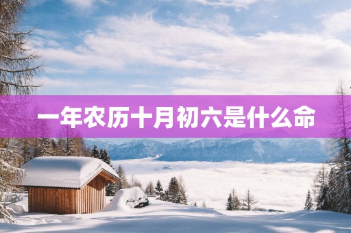 一年农历十月初六是什么命