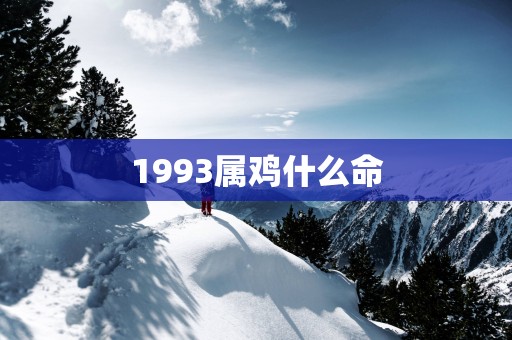 1993属鸡什么命