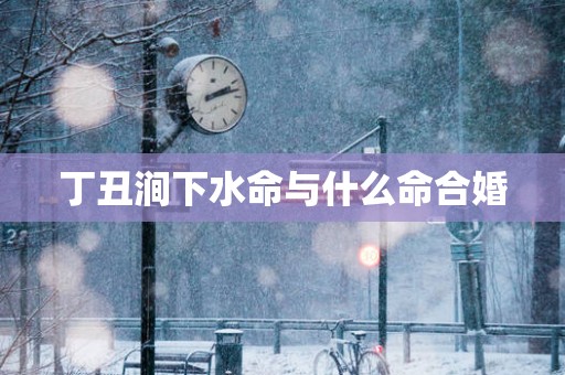 丁丑涧下水命与什么命合婚