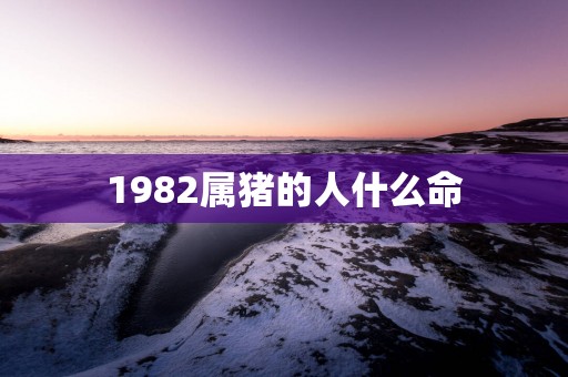 1982属猪的人什么命