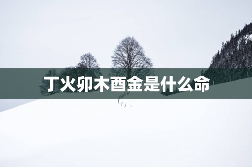 丁火卯木酉金是什么命