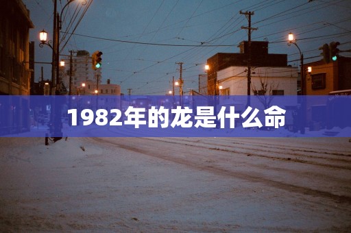 1982年的龙是什么命