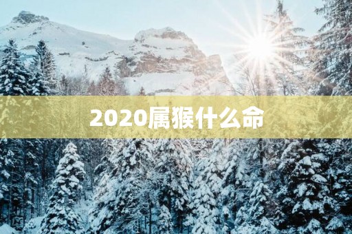 2025属猴什么命