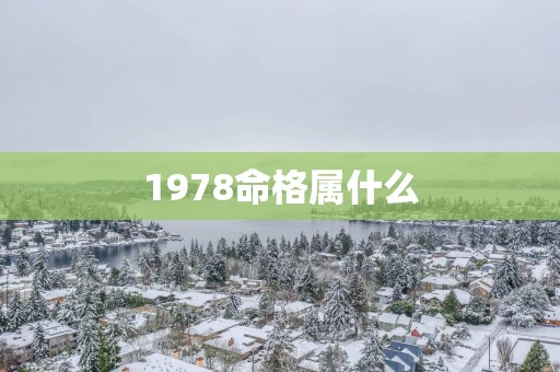 1978命格属什么