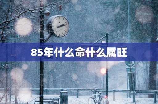 85年什么命什么属旺