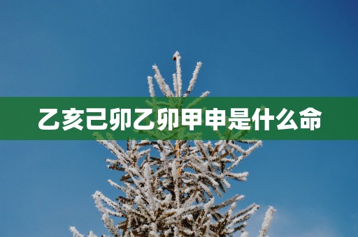 乙亥己卯乙卯甲申是什么命
