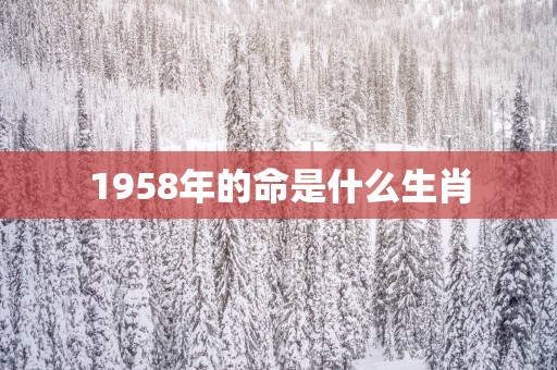 1958年的命是什么生肖