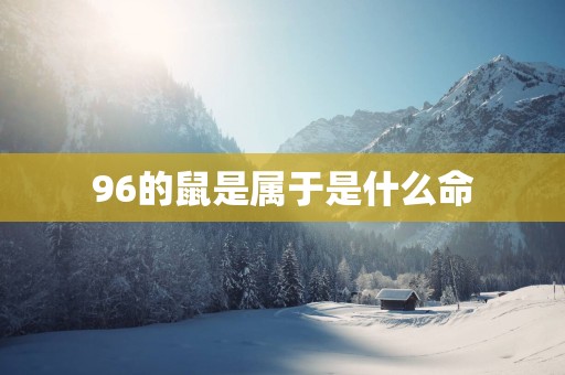 96的鼠是属于是什么命