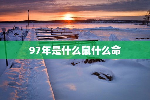 97年是什么鼠什么命