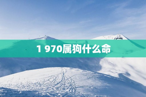 1 970属狗什么命