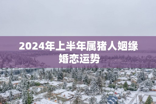 2025年上半年属猪人姻缘 婚恋运势