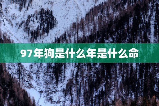 97年狗是什么年是什么命 97年狗是什么年是什么命