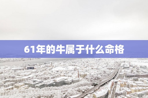 61年的牛属于什么命格