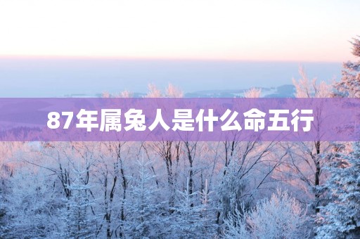 87年属兔人是什么命五行