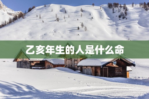 乙亥年生的人是什么命
