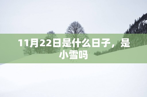 11月22日是什么日子，是小雪吗