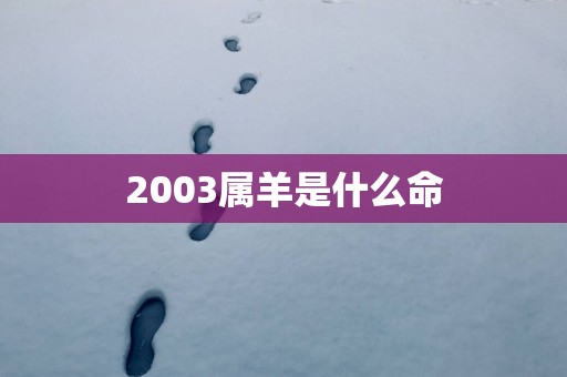 2003属羊是什么命