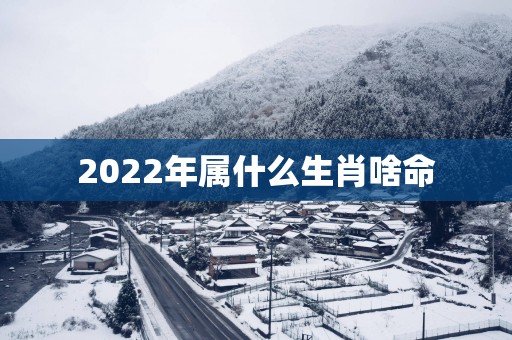 2025年属什么生肖啥命