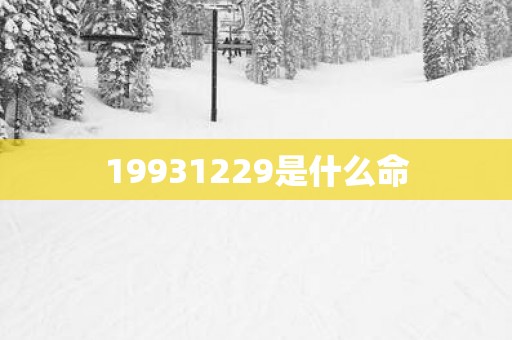19931229是什么命