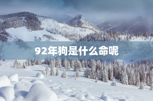 92年狗是什么命呢